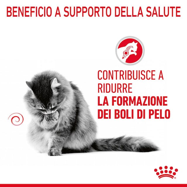 ROYAL CANIN Hairball Care Gravy 12 x 85 gr ROYAL CANIN Hairball Care Gravy 12 x 85 gr